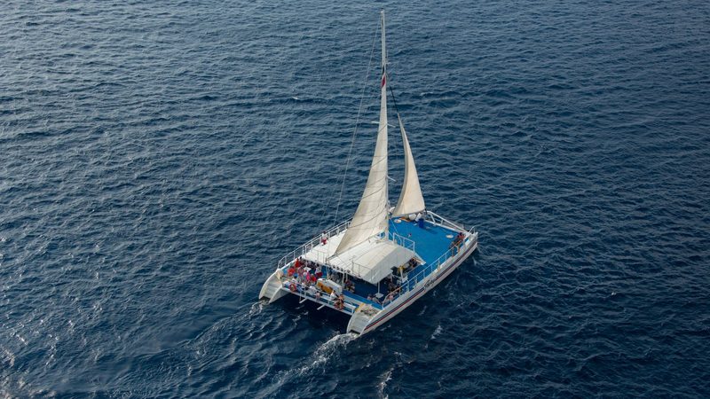 Frisky Mermaid Dolphin Cruises