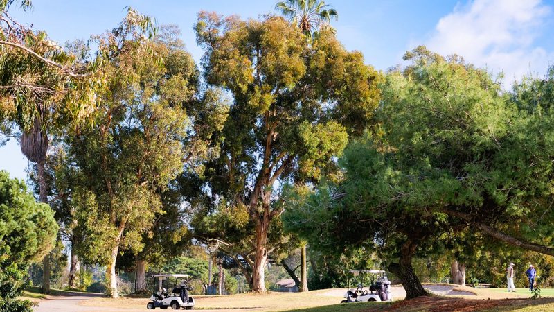 Hickory Hill Country Club