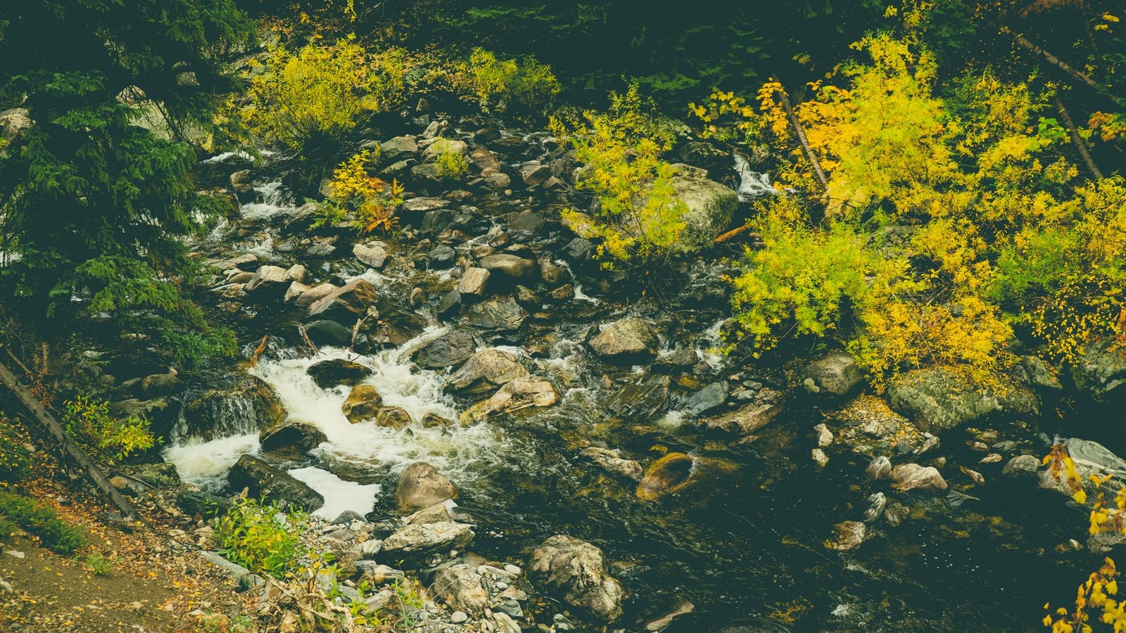 Steamboat Springs, CO