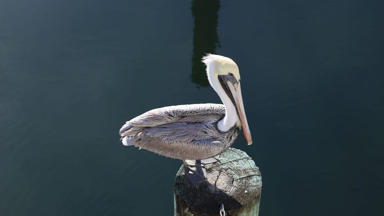 Key Largo, FL