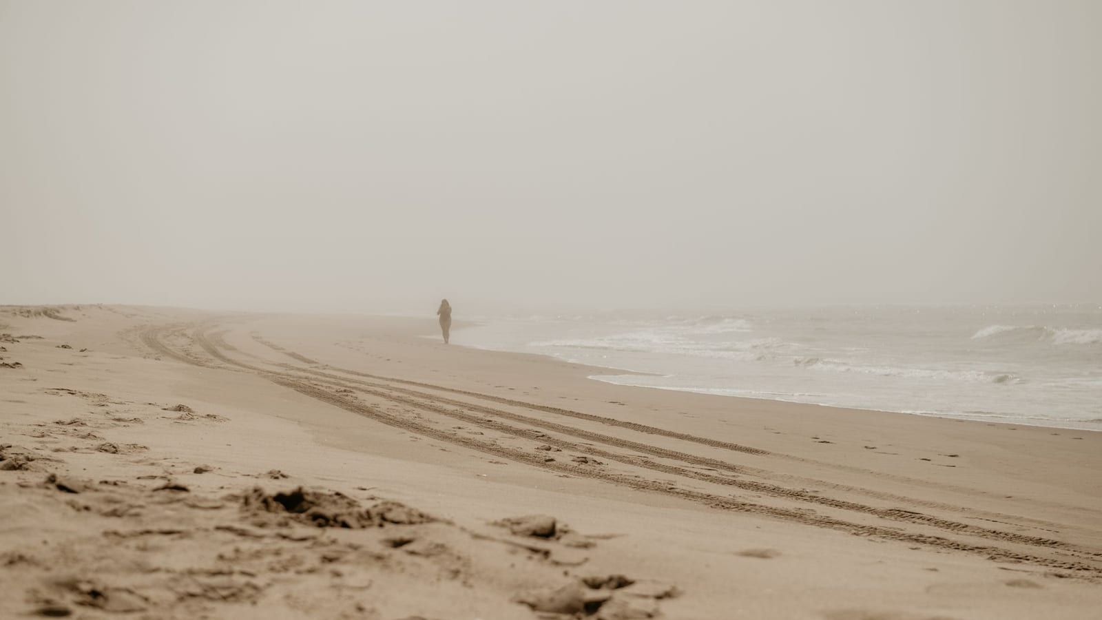 Oregon Coast (Lincoln City)