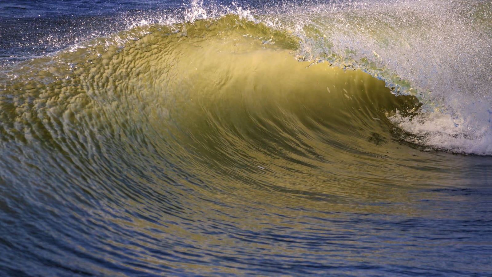 Virginia Beach, VA
