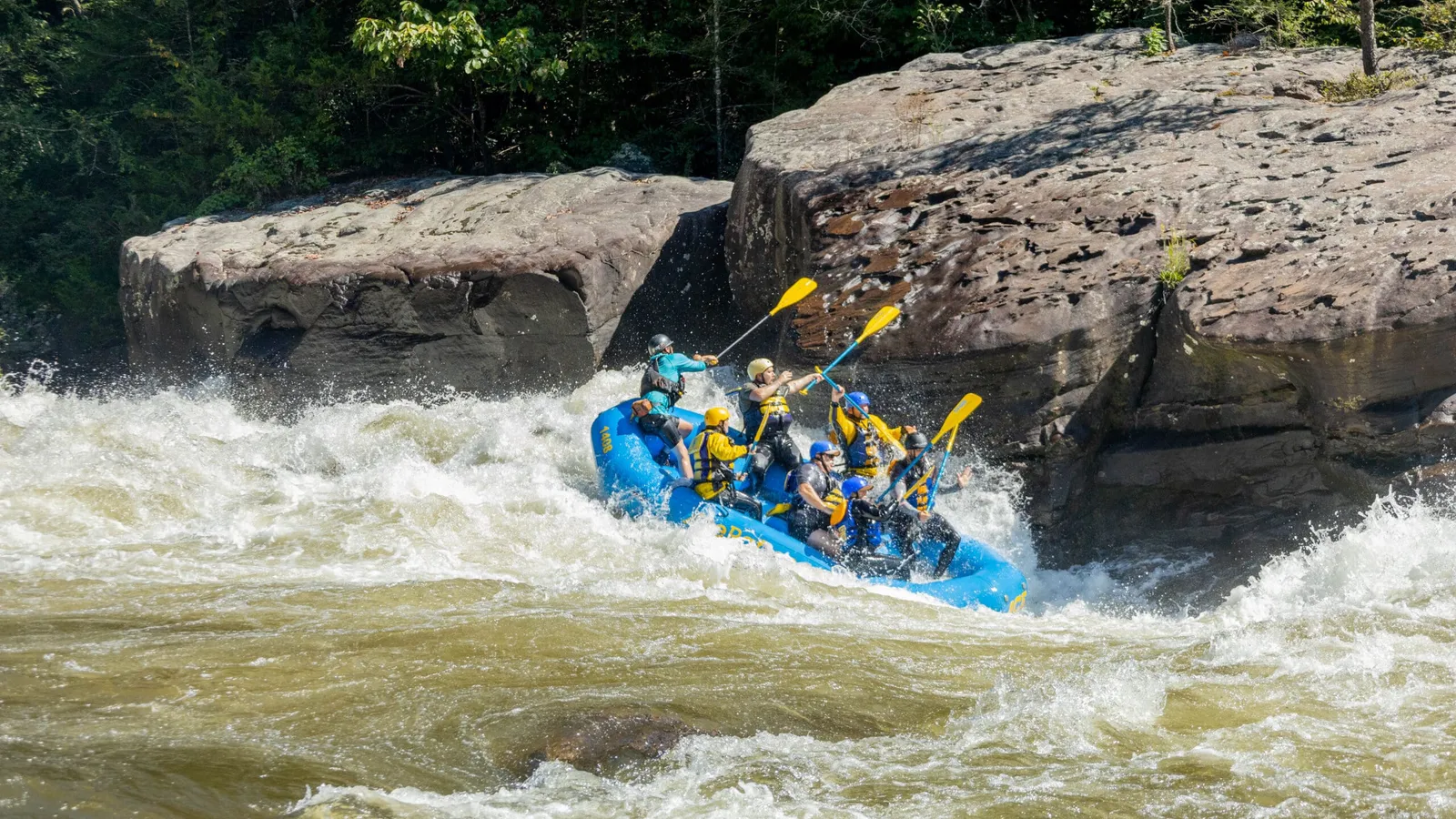 ACE Adventure Resort — hero image