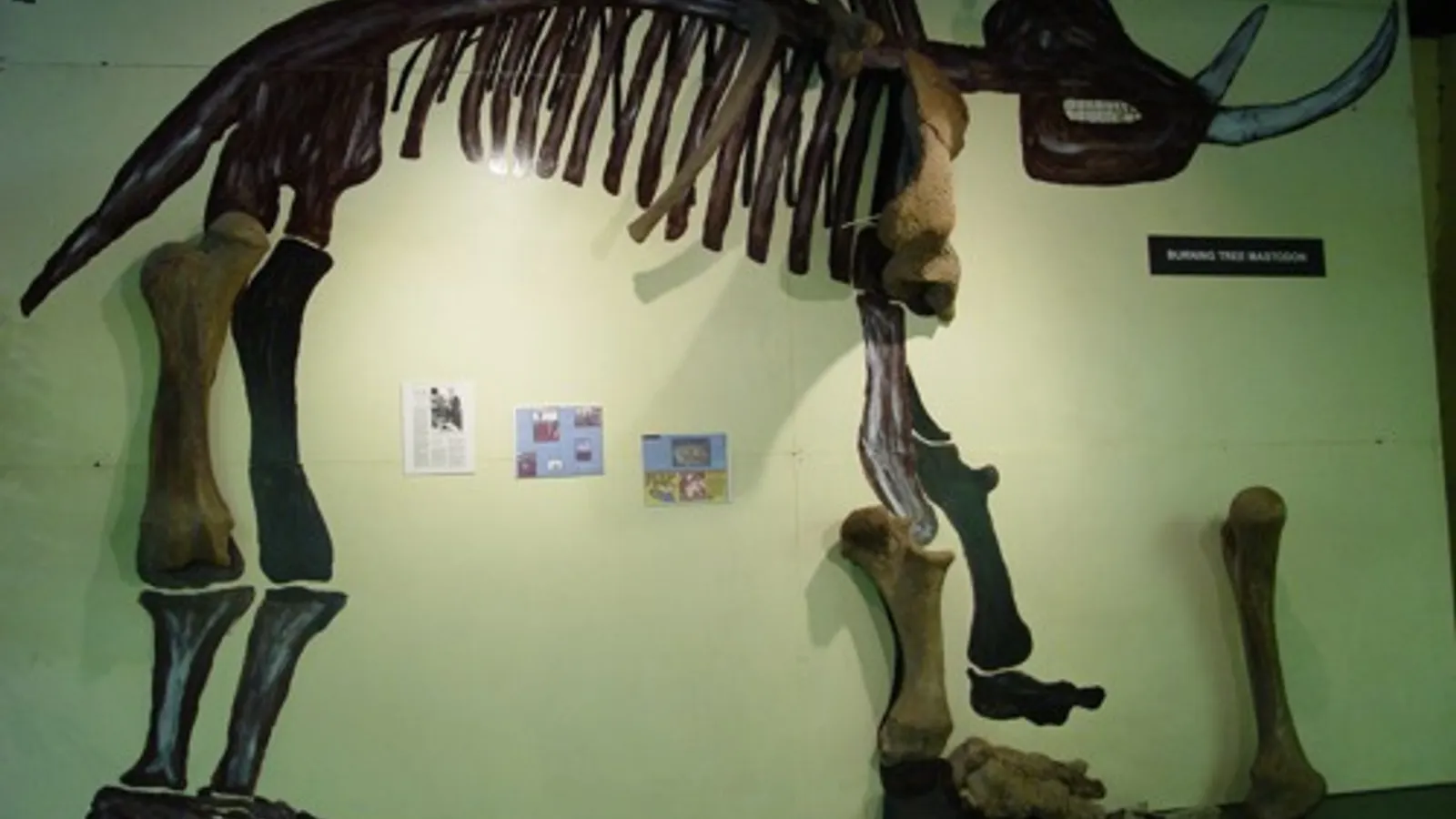 Akron Fossils & Science Center — hero image