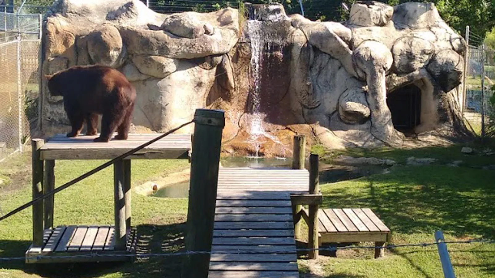 Alabama Gulf Coast Zoo — hero image
