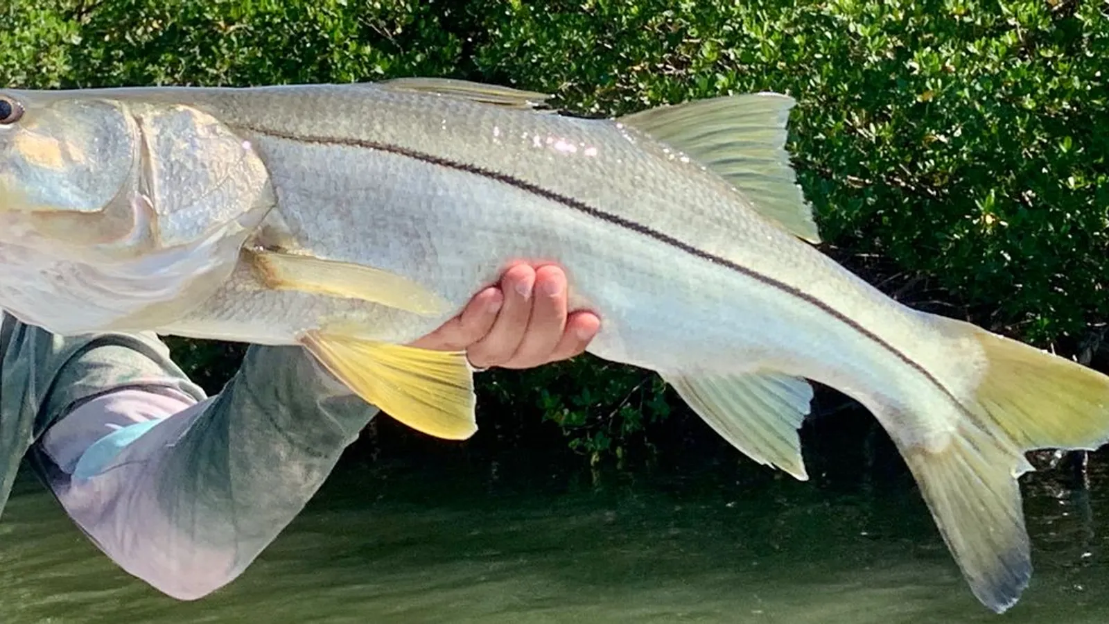 All 4 Chuck Fishing Charters LLC — hero image
