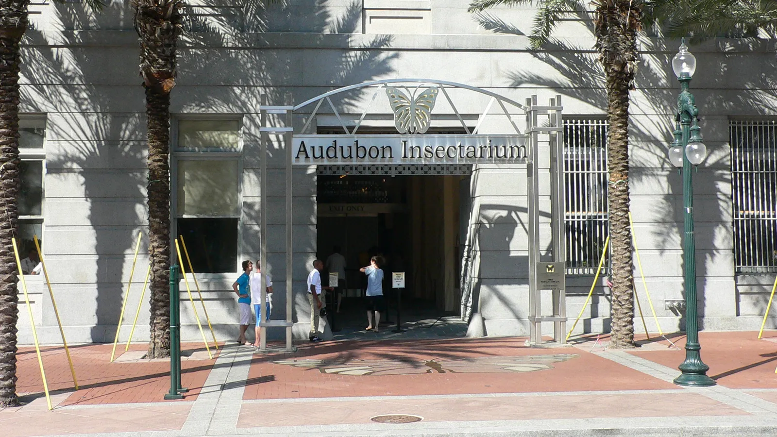 Audubon Insectarium — hero image