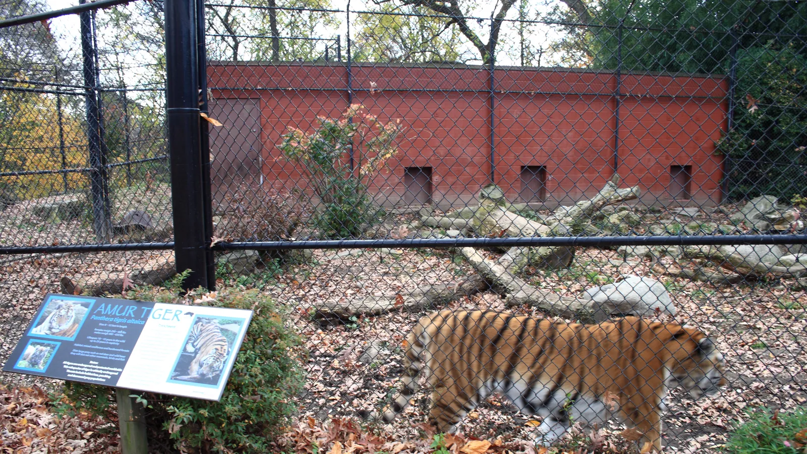 Beardsley Zoological Gardens — hero image