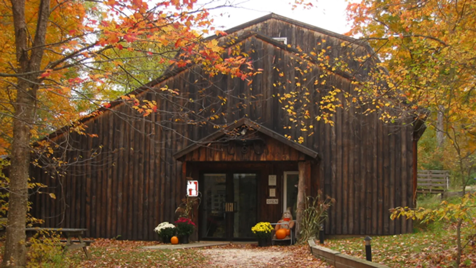 Birds of Vermont Museum — hero image