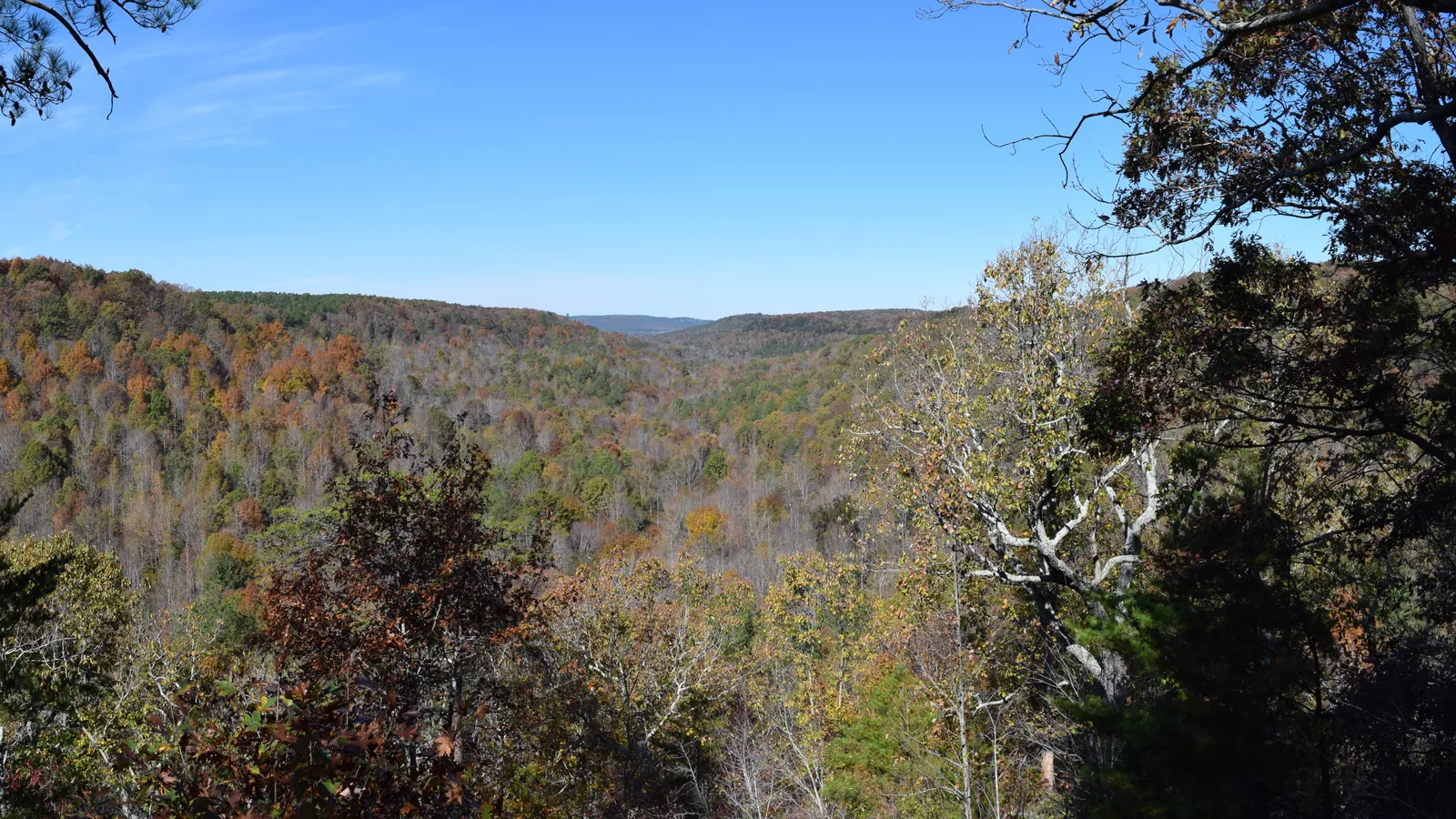 Cane Creek Canyon Nature Preserve — hero image
