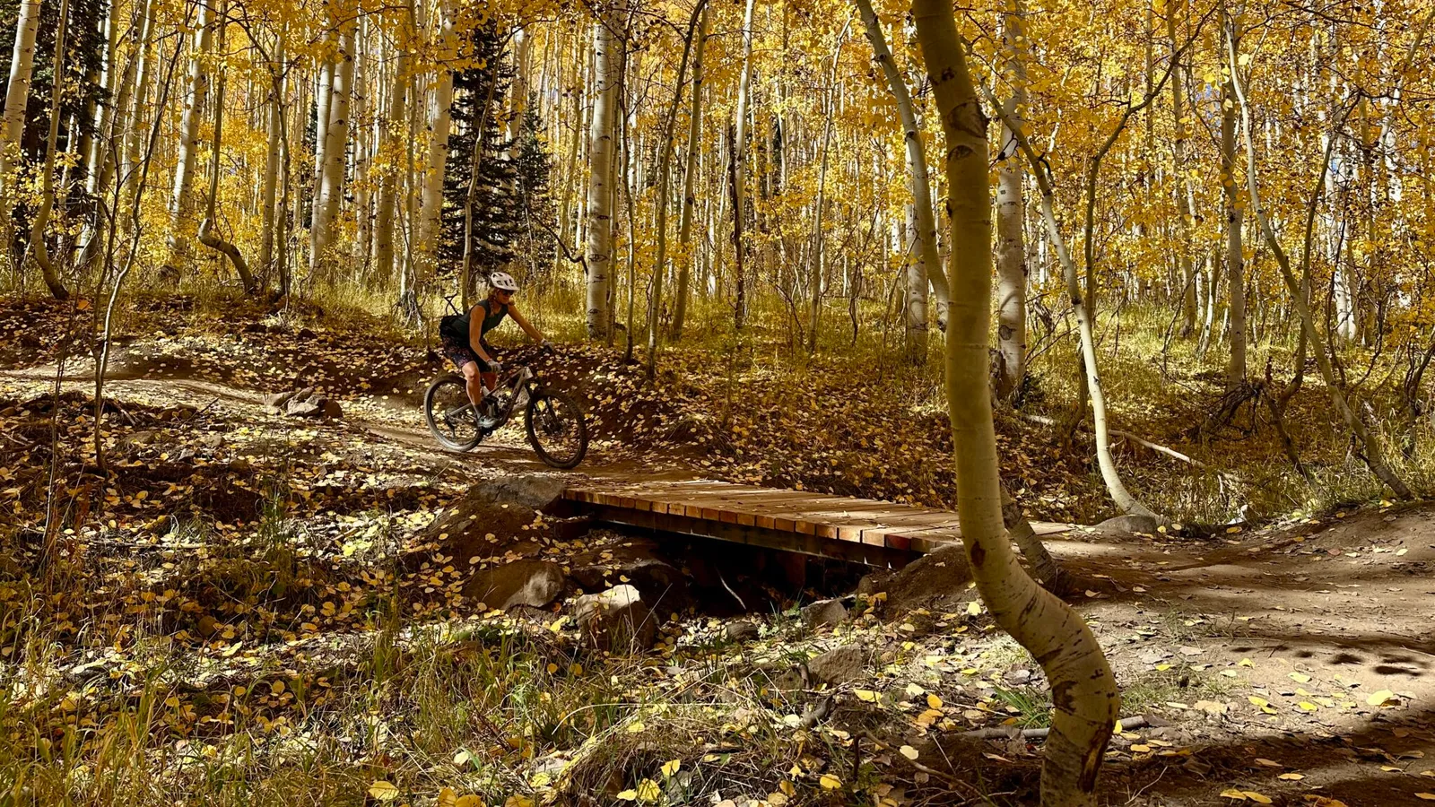 Canyon Sports — hero image