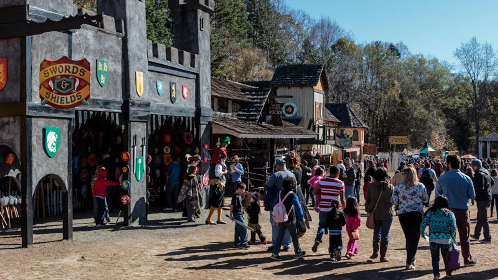 Carolina Renaissance Festival — hero image
