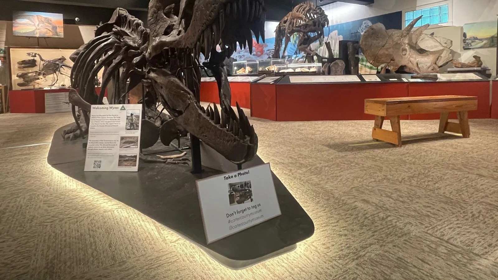 Carter County Museum — hero image
