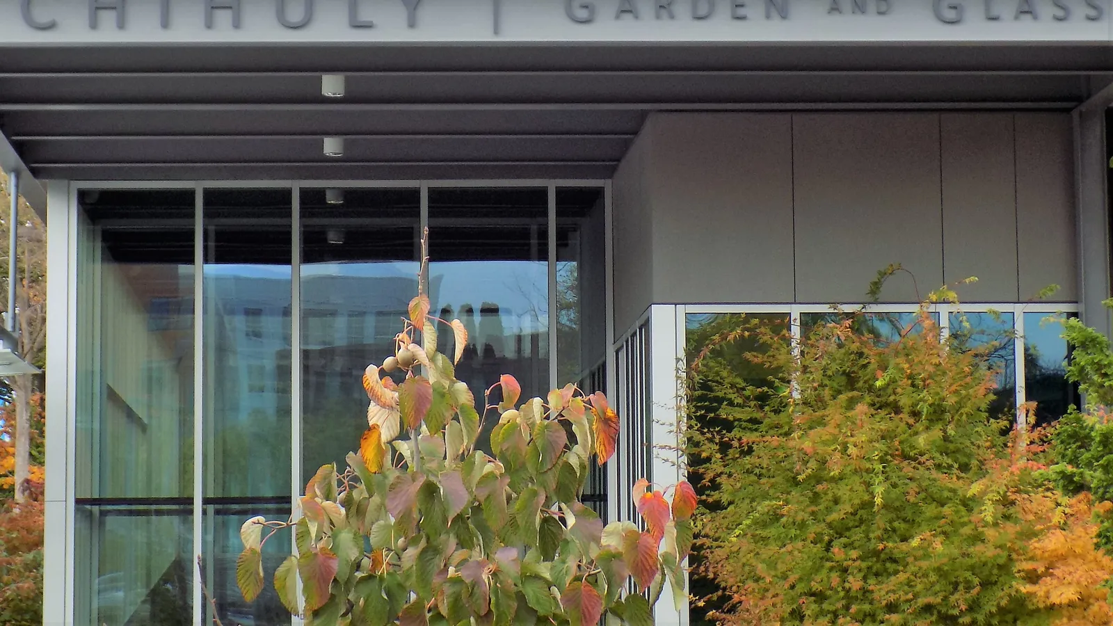 Chihuly Garden and Glass — hero image