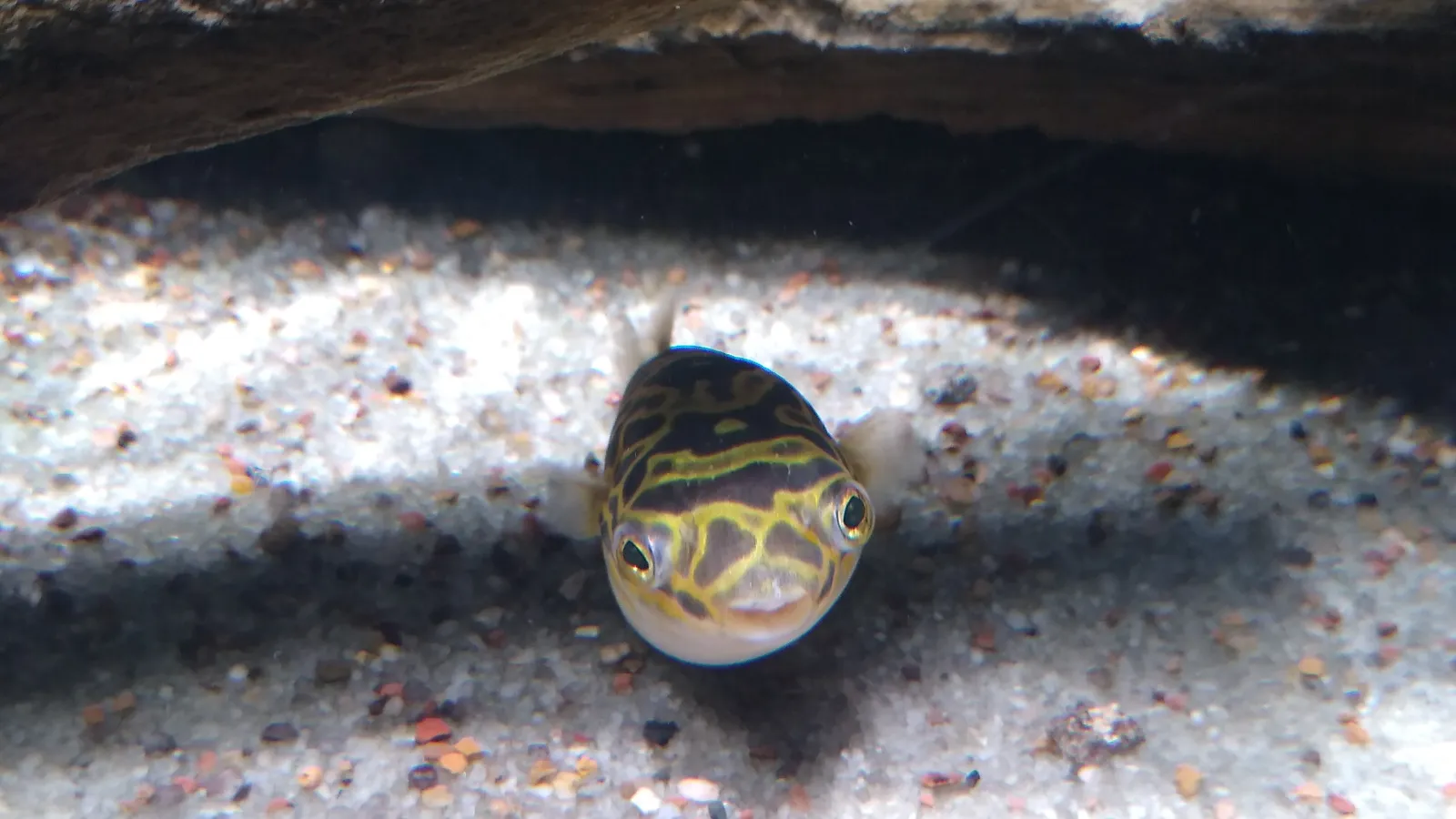 Children's Aquarium — hero image