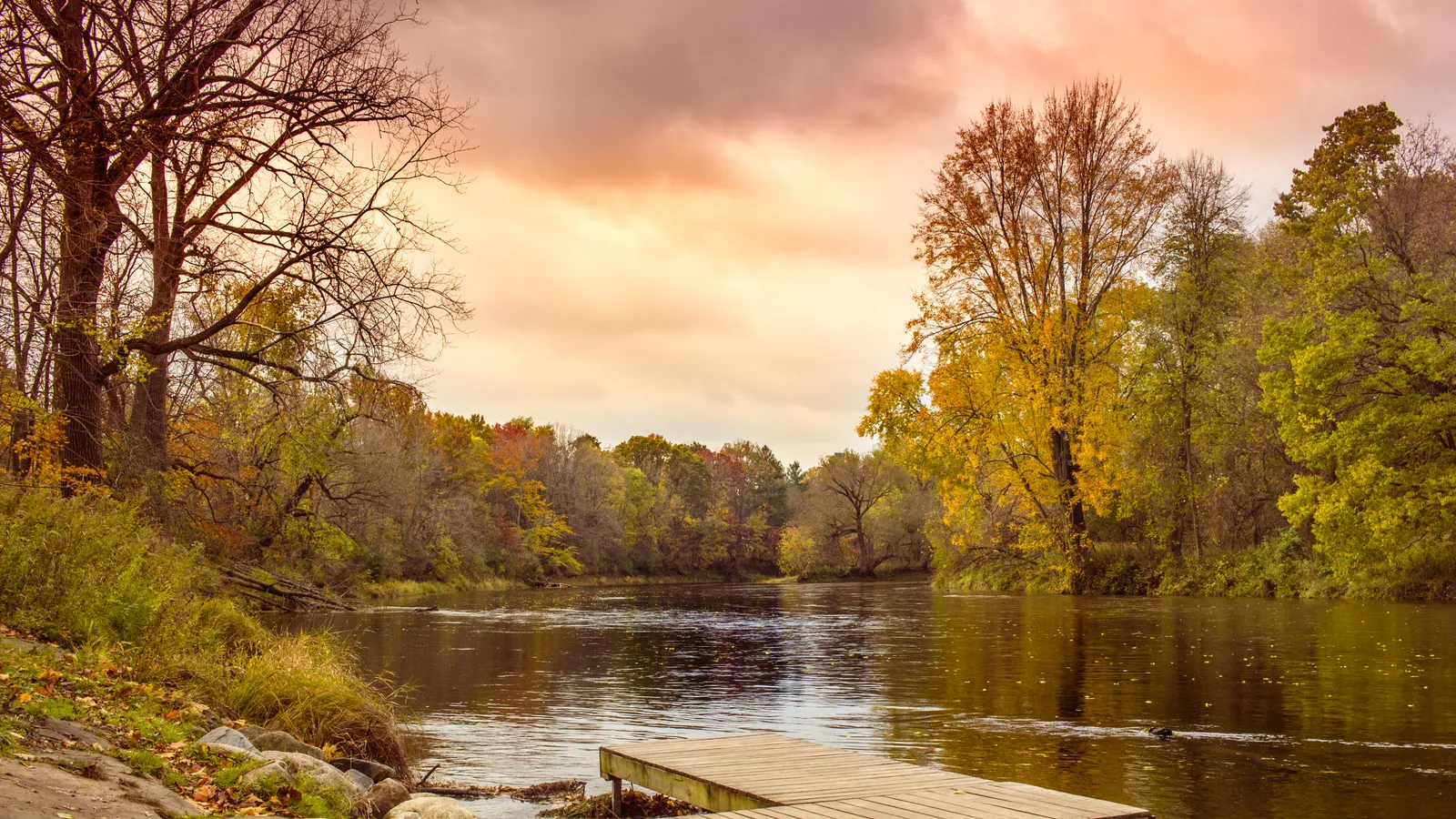 Chippewa Nature Center — hero image