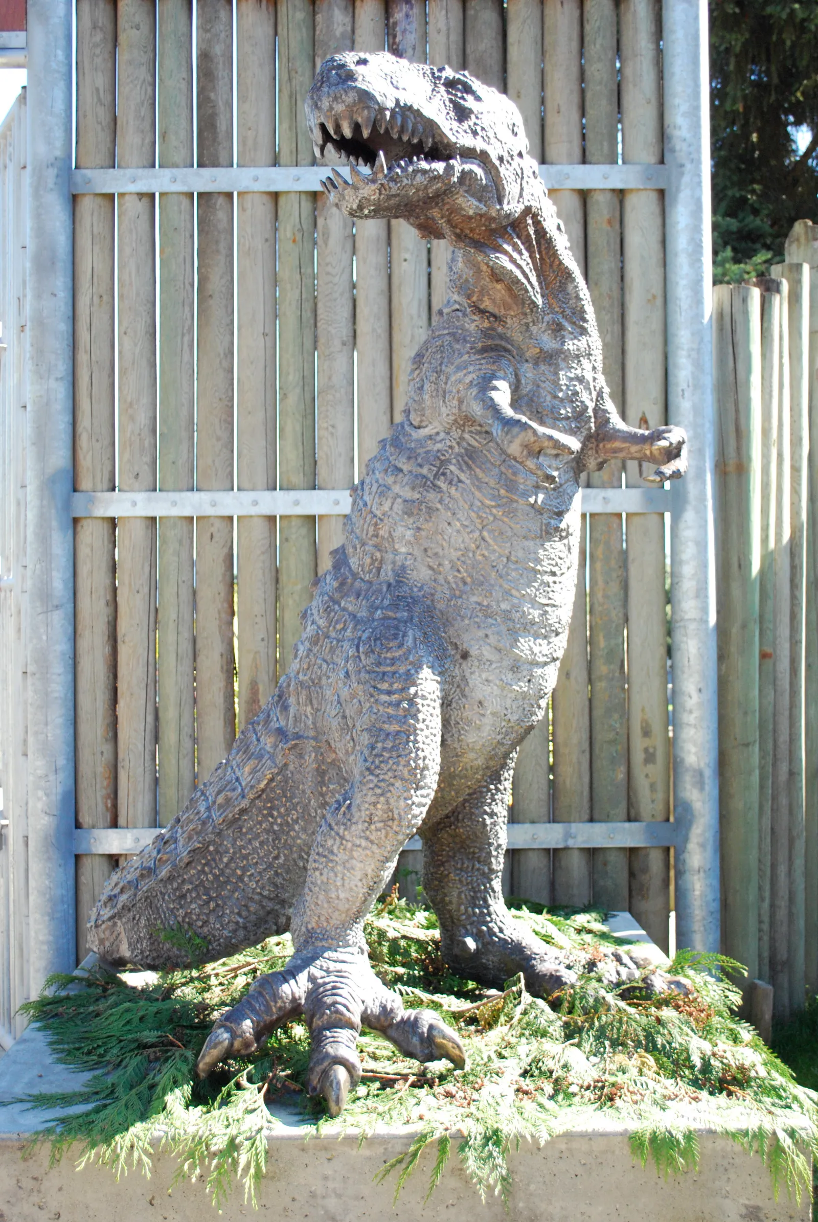 Cougar Mountain Zoo gallery image 2