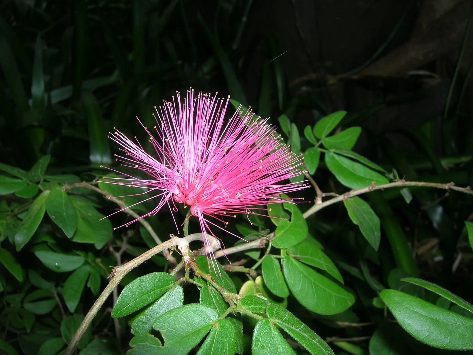 Dallas World Aquarium gallery image 1
