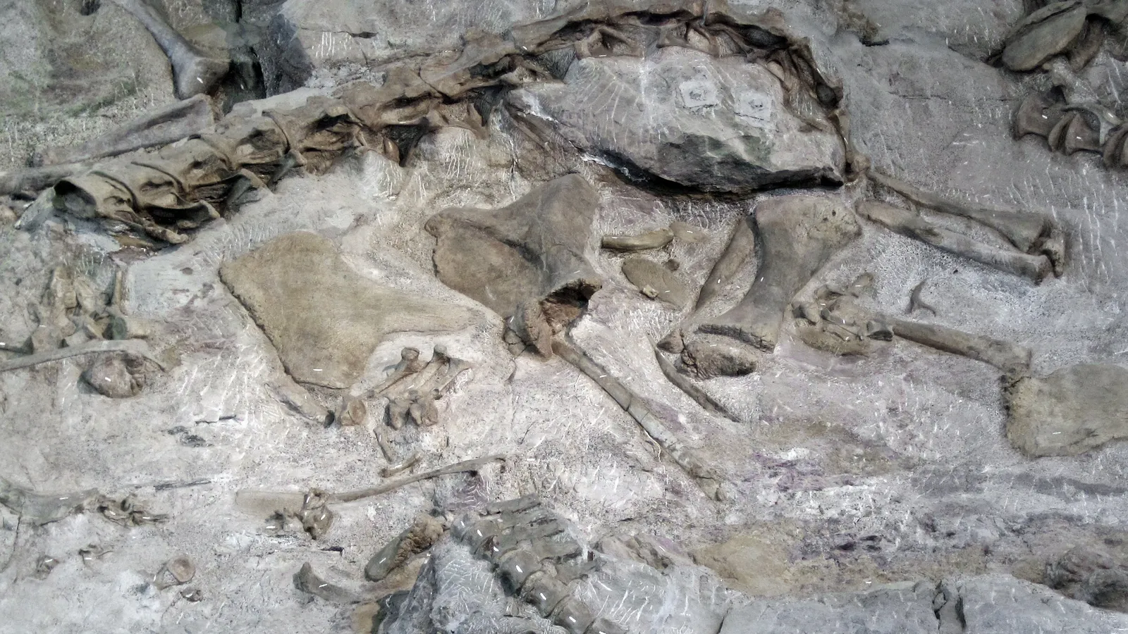 Dinosaur National Monument — hero image