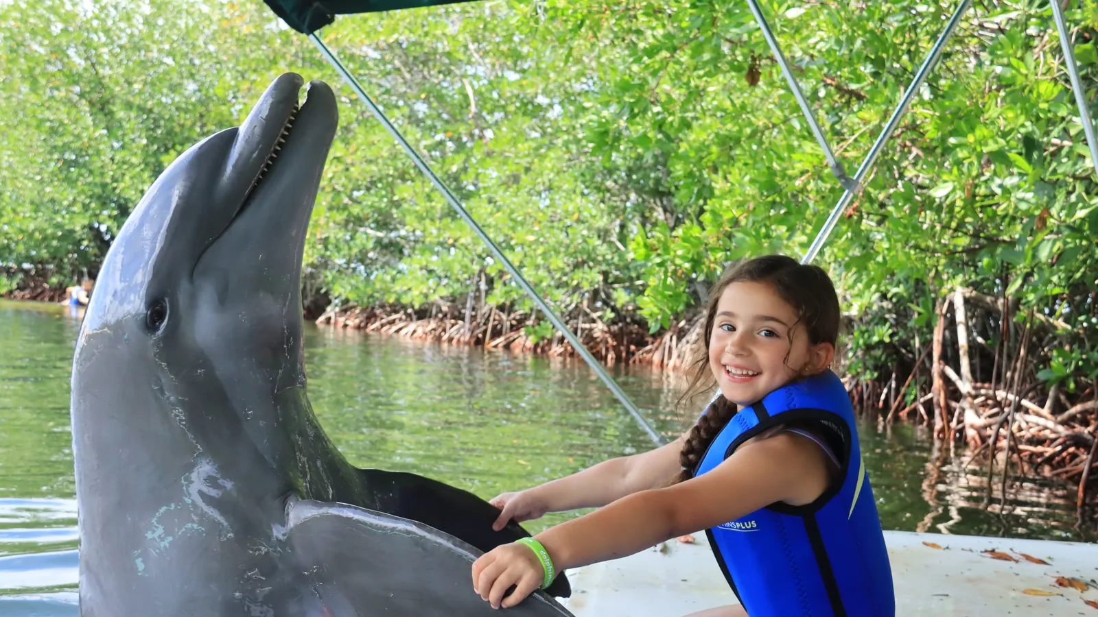 Dolphins Plus Bayside — hero image