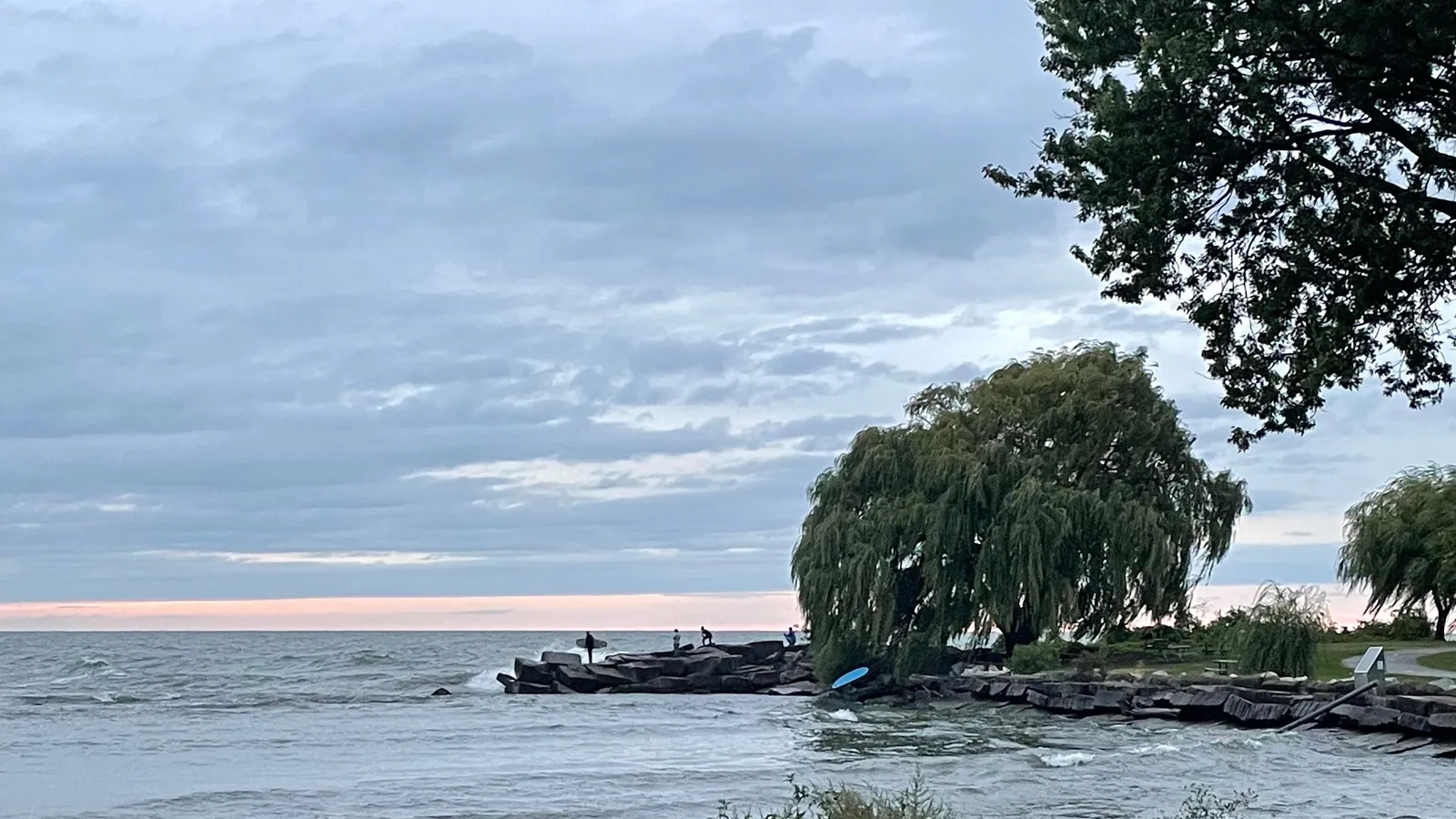 Edgewater Surf — hero image