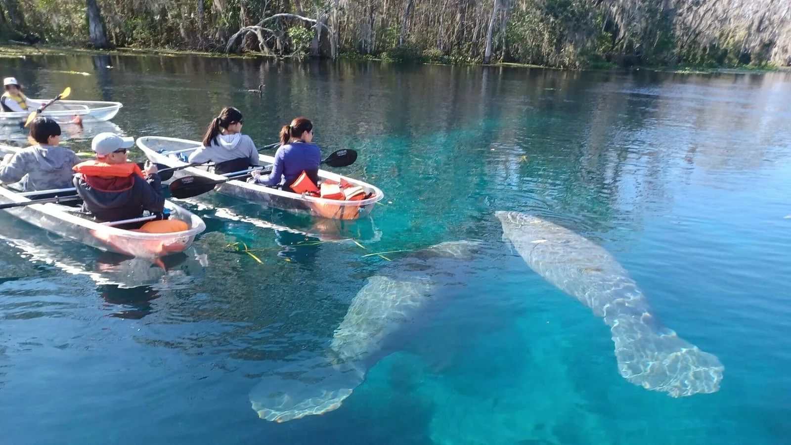 Epic Paddle Adventures — hero image