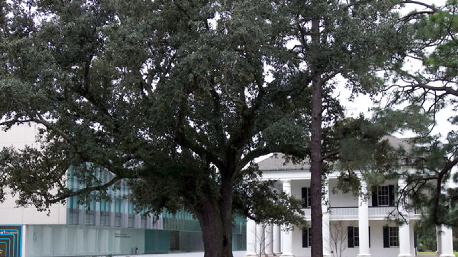 Hilliard Art Museum — hero image