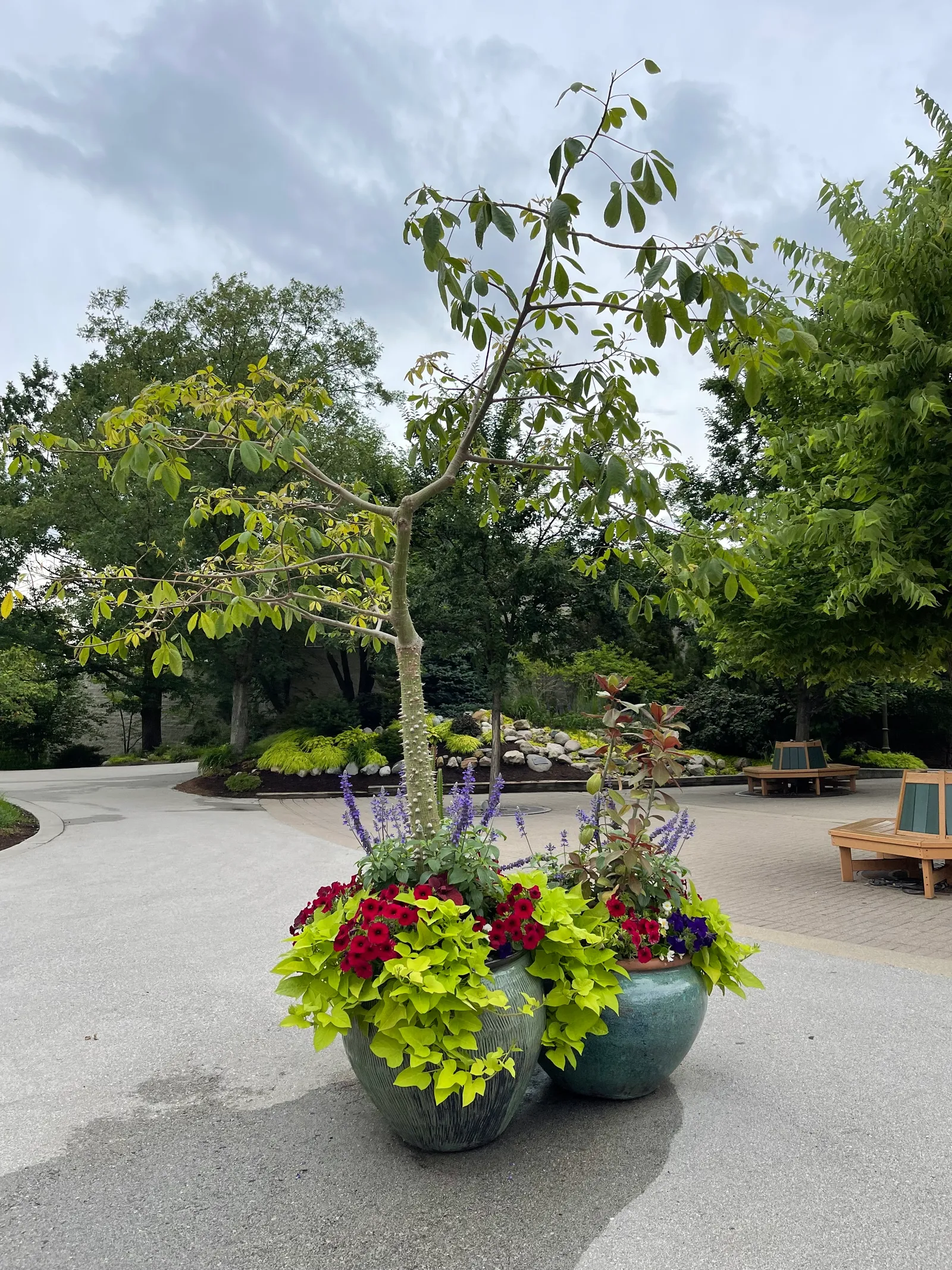 Indianapolis Zoo — photo 1