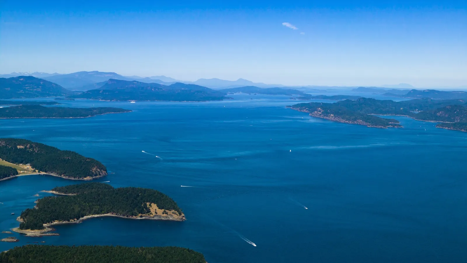 Island Express Charters — hero image