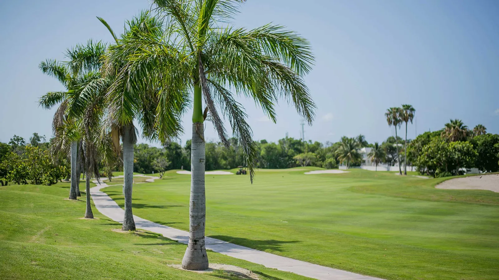 Key West City Golf Club — hero image