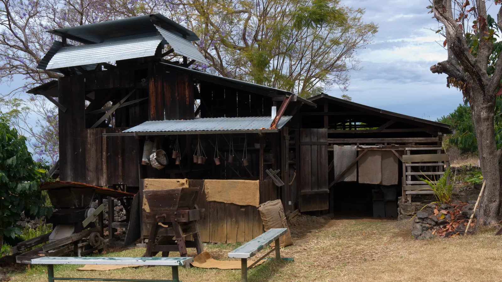 Kona Coffee Living History Farm — hero image