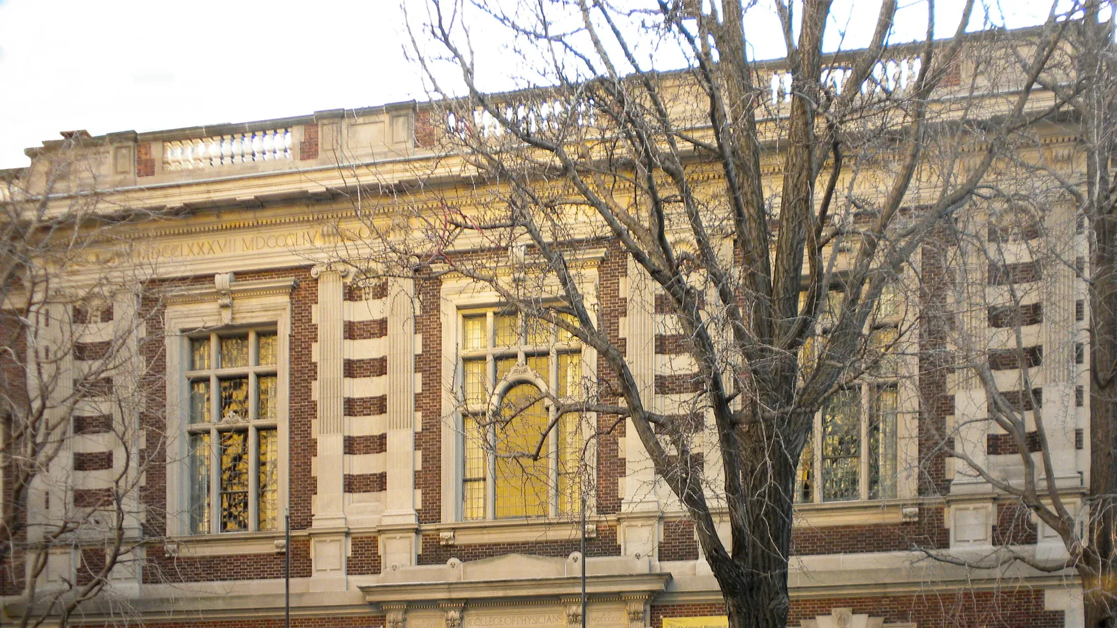 Mütter Museum — hero image