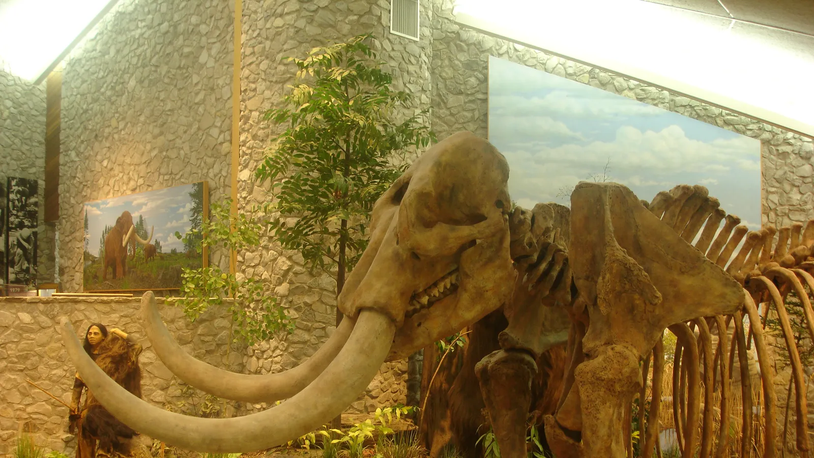 Mastodon State Historic Site — hero image