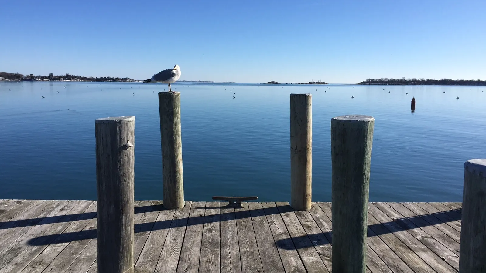 Maxwell Boatyard — hero image