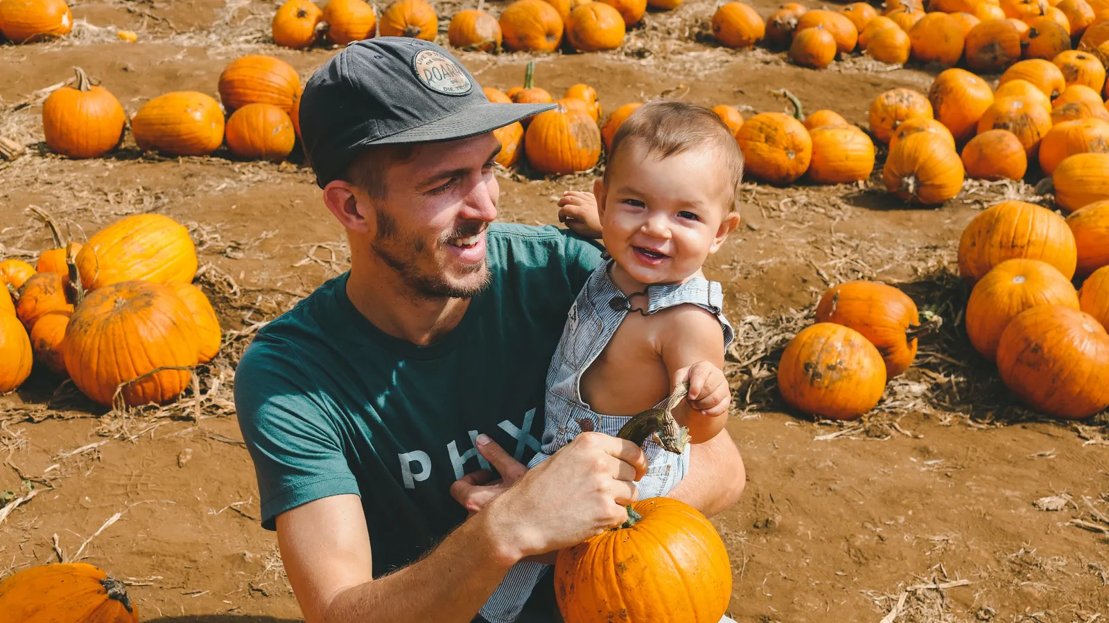 Maxwell's Pumpkin Farm — hero image