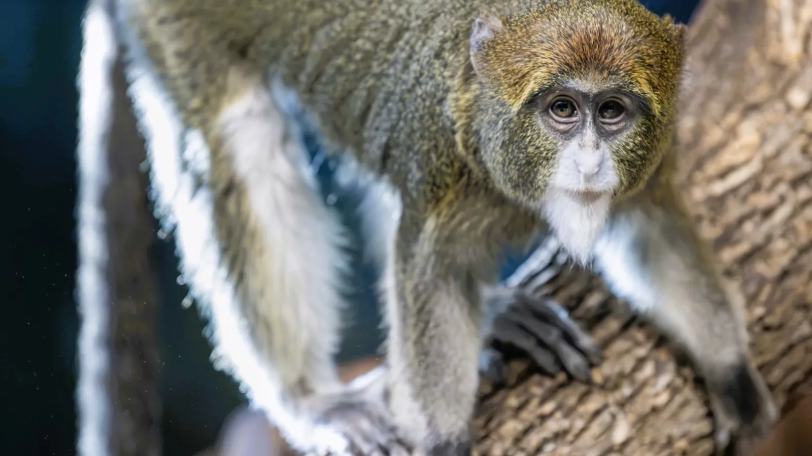 Milwaukee County Zoo — hero image