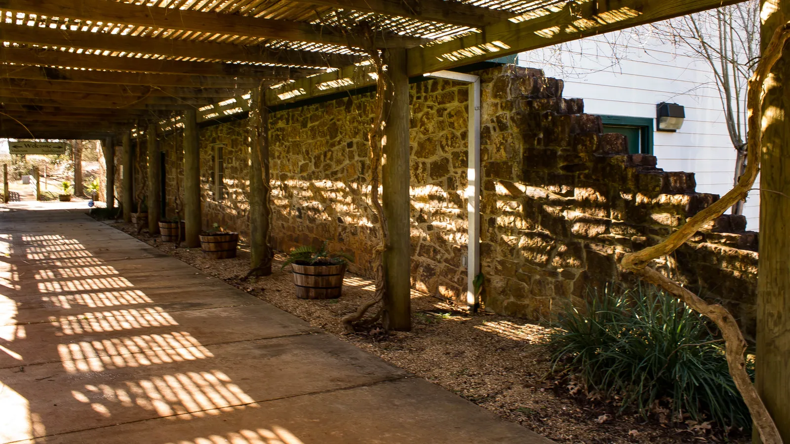 Mission Dolores State Historic Site — hero image