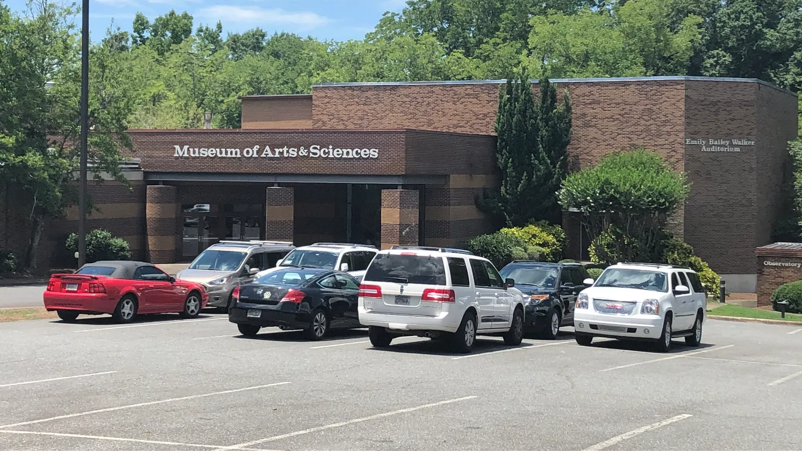 Museum of Arts and Sciences — hero image