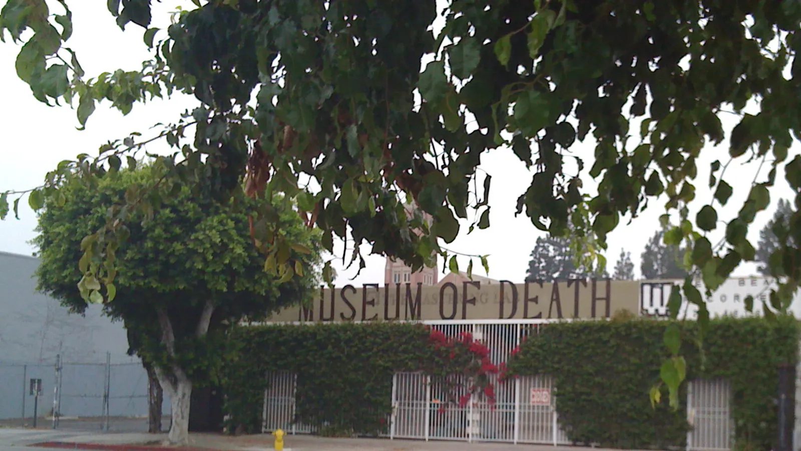 Museum of Death — hero image