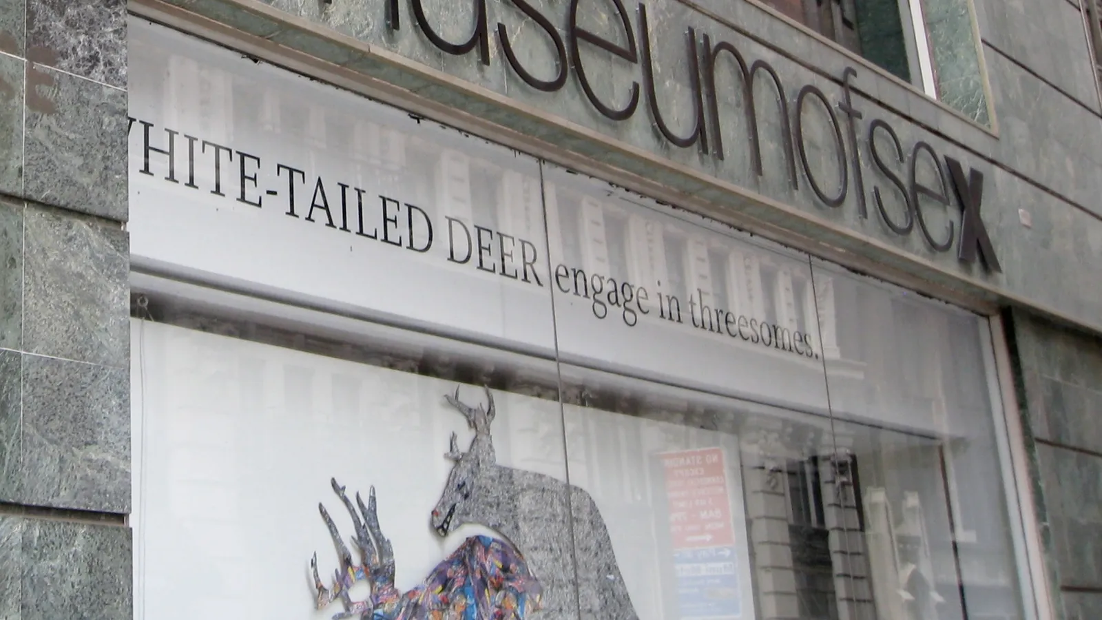 Museum of Sex — hero image