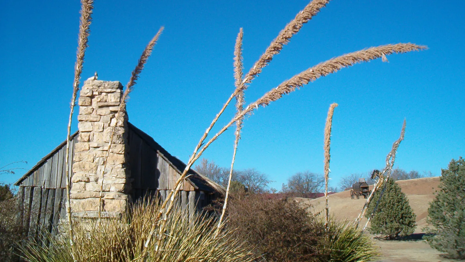 National Ranching Heritage Center — hero image