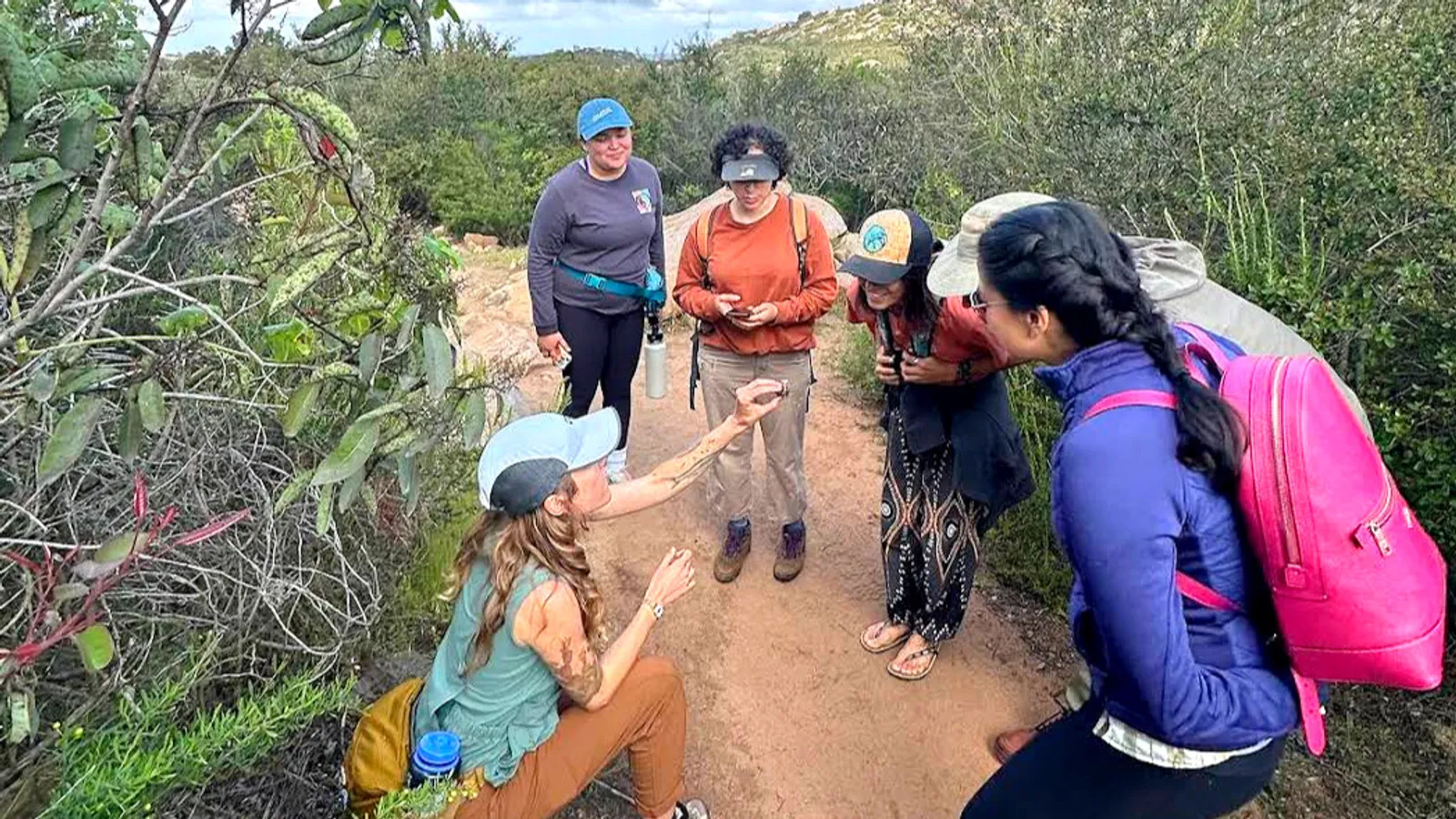 North Star Naturalist — hero image