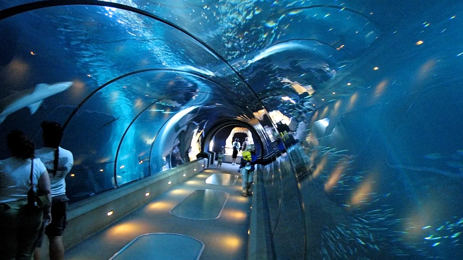 Oregon Coast Aquarium — hero image