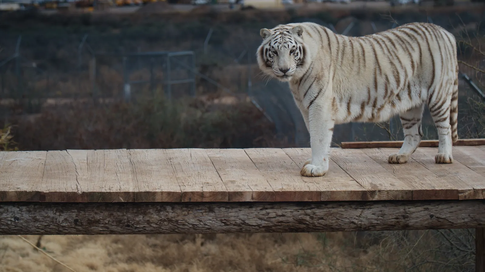 Out of Africa Wildlife Park — hero image