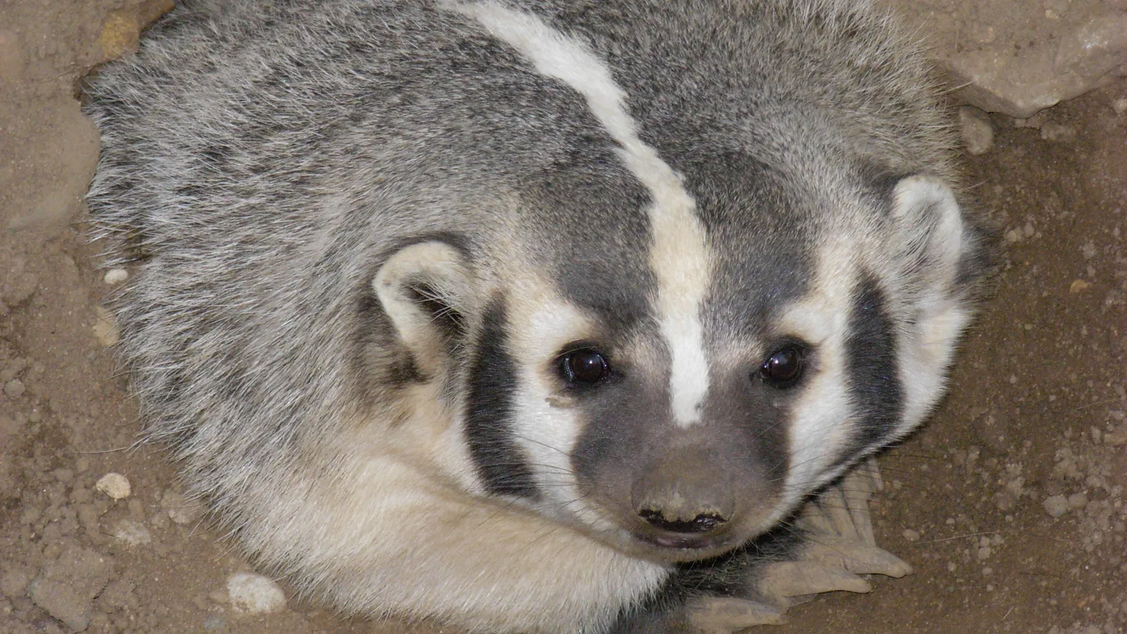 Oxbow Park and Zollman Zoo — hero image
