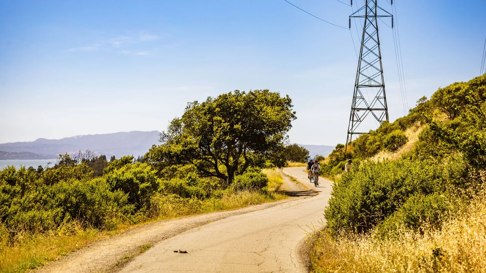Cyclist enjoying a scenic rural path under a clear sky with lush greenery and power lines.