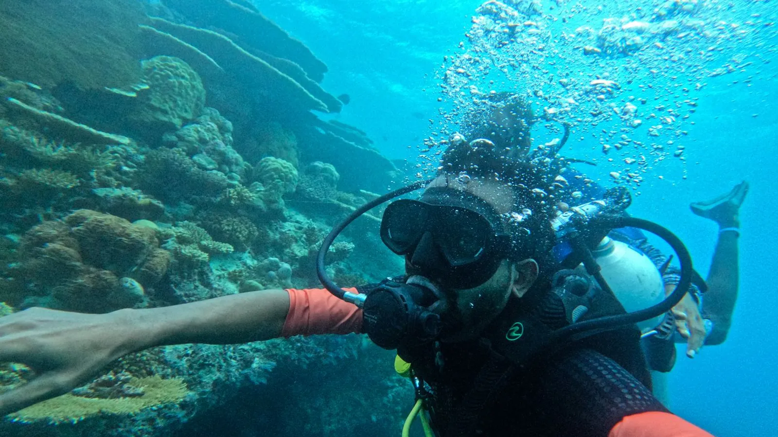 Scuba diving & tours scene