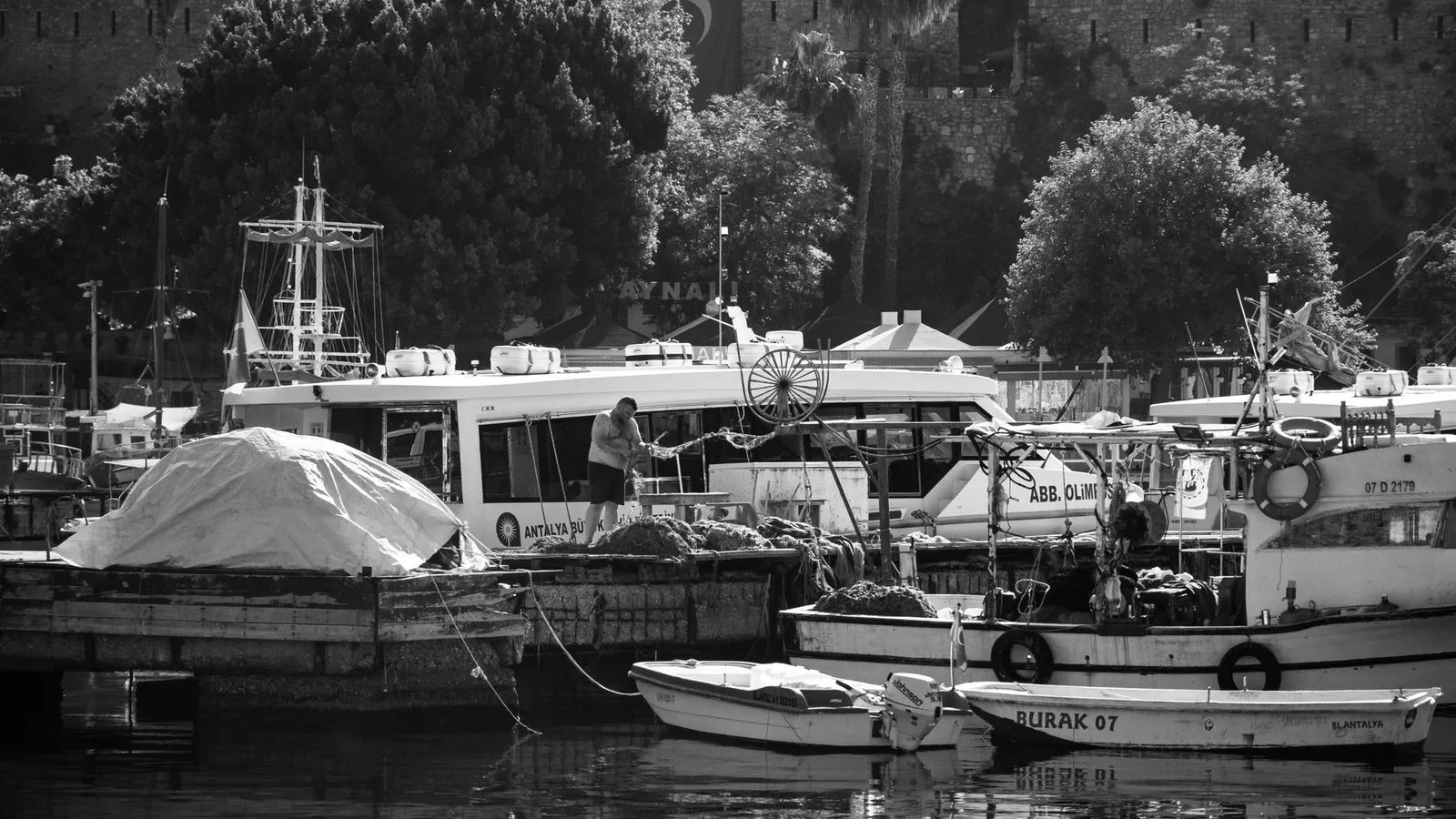 Fishing charters & tours scene