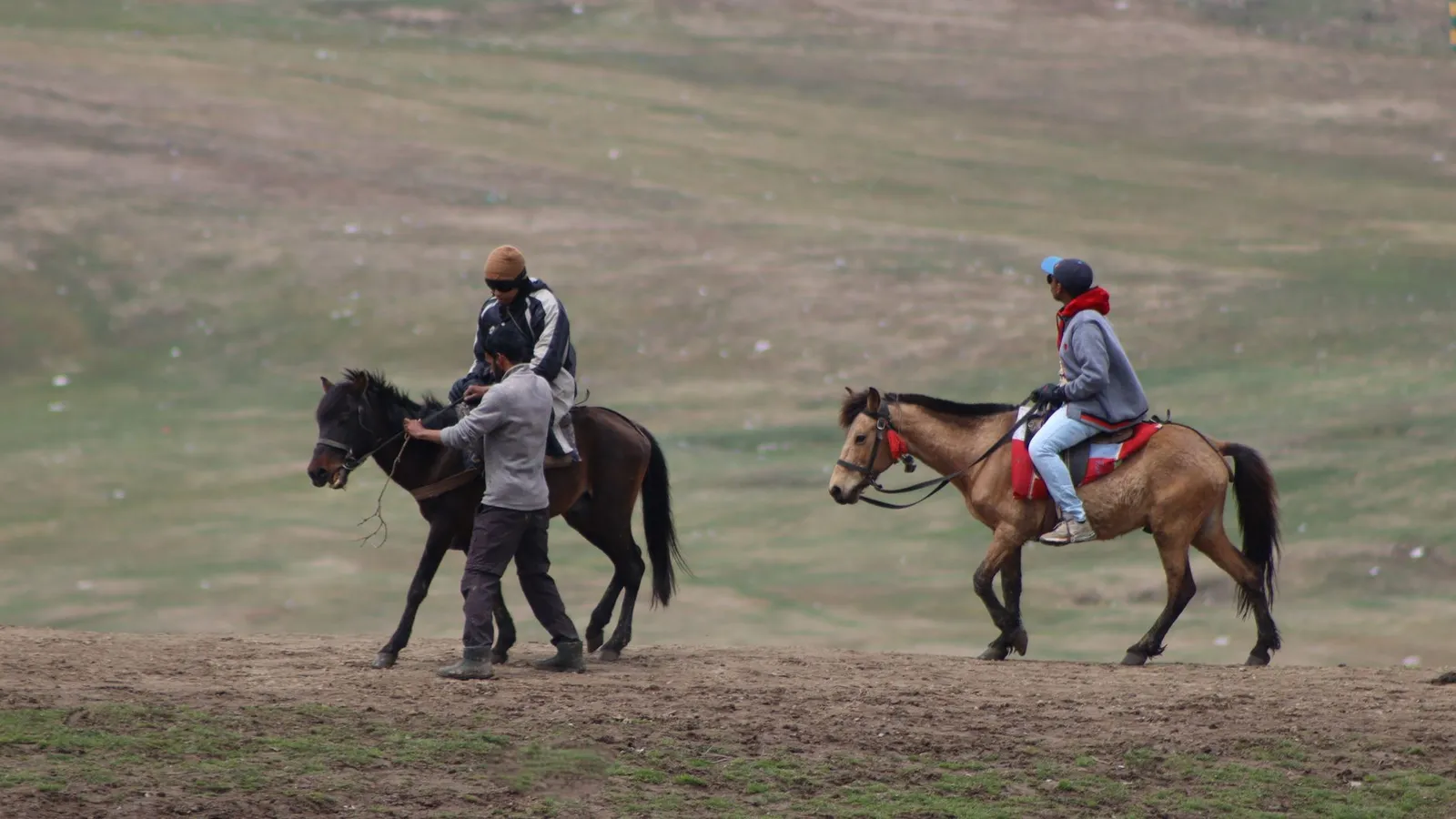 People enjoying horseback riding in a scenic valley, perfect for adventure and recreation.