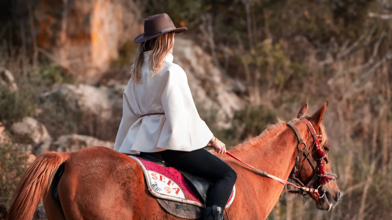 Hiking & equestrian trails scene